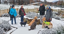 Landesgartenschau Fulda 2.023 wird Vorreiter für Hundespaziergänge