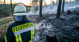 Trotz nassem Frühjahr: Umweltministerium weist auf Waldbrandgefahr hin