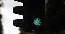 Bundestag entscheidet heute über eine teilweise Legalisierung von Cannabis