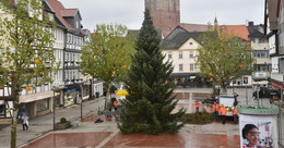 Bei typischem Herbstwetter: Weihnachtsbaum am Linggplatz aufgestellt