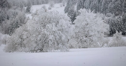 Winter bleibt Osthessen erhalten: Schnee und Glätte dominieren das Wetter
