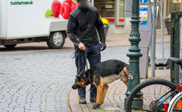 Kripo durchstreift mit Hund Innenstadtbereich - Rauschgiftdelikte im Fokus