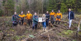 tegut… Baumpflanzaktion: 7.500 neue Bäume für den Hessischen Staatswald