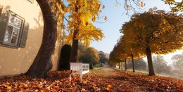 Genuss pur: Herbstlicher Gesundheits-Stopp im Bäderland Bayerische Rhön