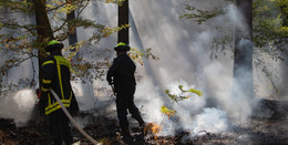 Mehrere Hundert Quadratmeter Wald bei Hanau in Flammen - Brandstiftung?
