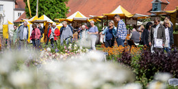 Fürstliches Gartenfest findet erneut zweimal auf Schloss Fasanerie statt