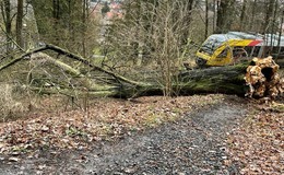 Morscher Baum auf die Gleise gestürzt - vollbesetzte Vogelsbergbahn gestoppt