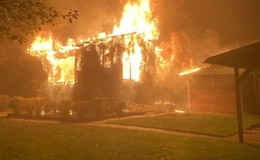 Ursache unklar: Vereinsheim von Kleingartenverein brennt komplett ab