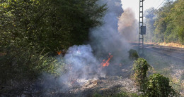Regionalzug löst auf mehreren Kilometern Flächenbrände aus