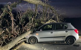 Skoda-Fabia prallt in umgestürzte Bäume - Fahrer (39) im Glück