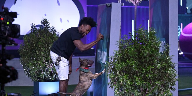 Fotos. TVNOW / Markus Hertrich - Gary Hines und sein Hund gehen in der RTL-Sendung "Top Dog" an den Start