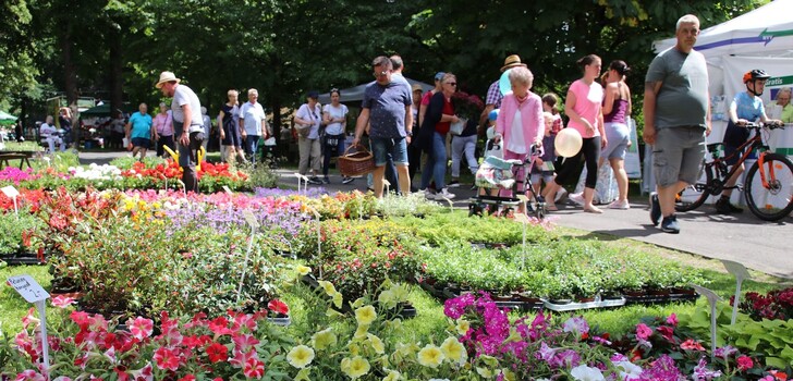 Blumenmeer und Naschmarkt vereinten sich am Sonntag in der Rotenburger Innenstadt.