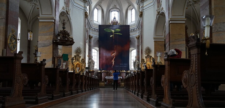 Das diesjährige Fastentuch zeigt den Keimspross einer Eiche und hängt in den sieben Wochen der Fastenzeit prominent im Altarraum der Stadtpfarrkirche