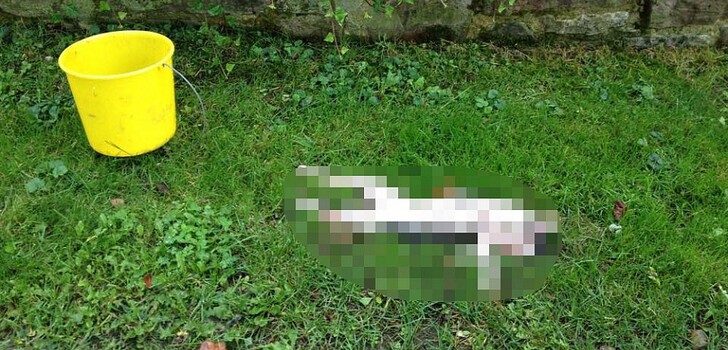 Dieses grauenhafte Bild möchten wir Ihnen, liebe Leser, nicht unzensiert antun.