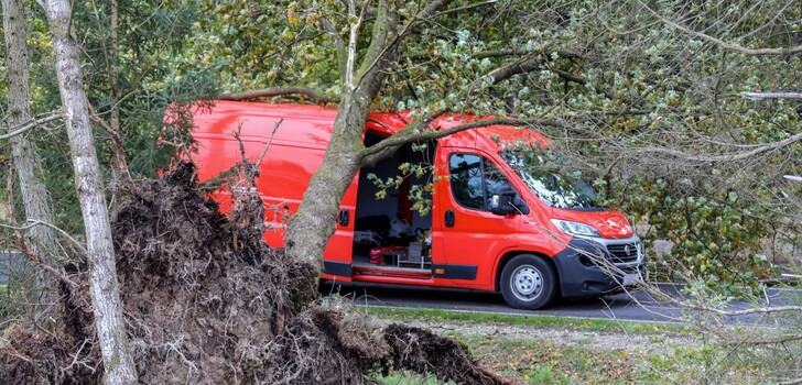 Ein Baum ist auf ein Handwerkerfahrzeug auf der Landstraße 3069 zwischen Friedewald und Hönebach gestürzt