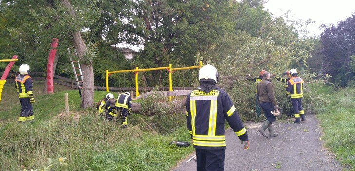 Vor Ort fanden Sie einen bereits umgestürzten Baum vor, sowie einen weiteren, der umzustürzen drohte.