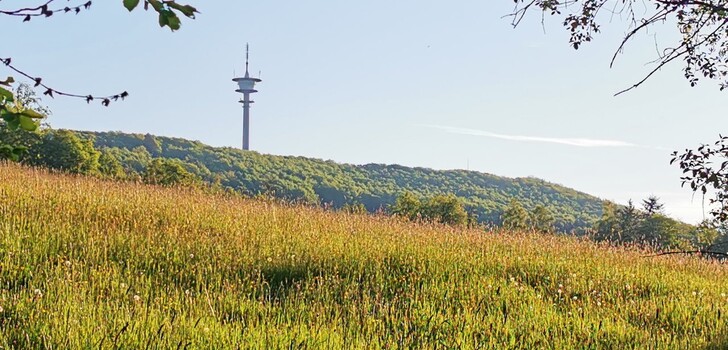Der Eisenberg ist mit 636 Metern Höhe der höchste Berg im Knüllgebirge