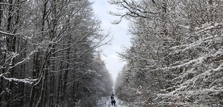 Am Samstag soll die erste weiße Pracht dieses Winters in Osthessen ankommen