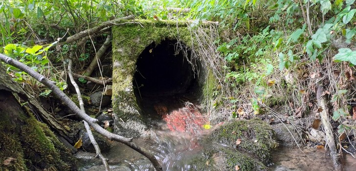 Das Projekt unterstützt eine nachhaltige Gewässerentwicklung mit Stärkung der
Biodiversität und Resilienz. Verrohrungen und Verbauungen werden hierbei entfernt.