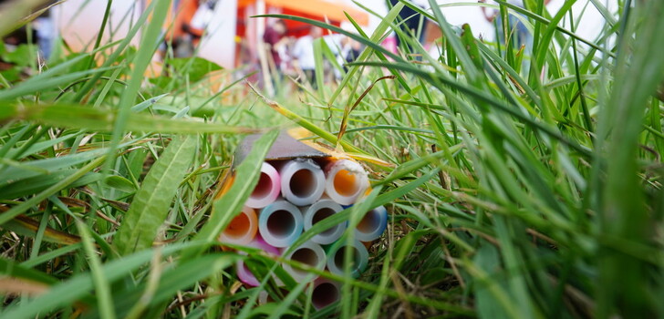 Das Glasfaser-Netz soll auch in den ländlichen Regionen ausgebaut werden